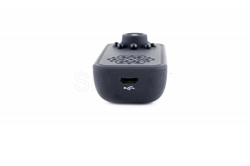 Mini camera with diodes for night vision and motion detector